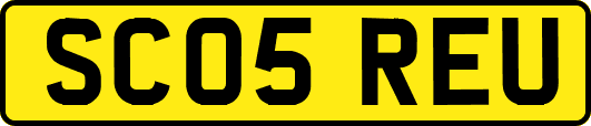SC05REU