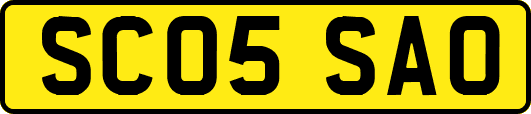 SC05SAO