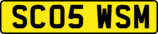 SC05WSM