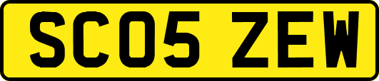 SC05ZEW