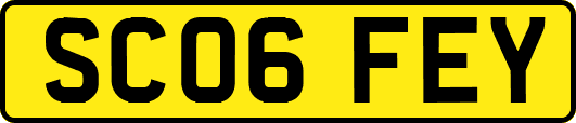 SC06FEY