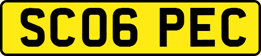 SC06PEC