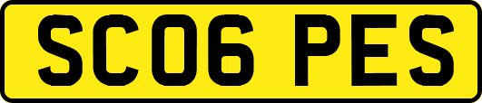 SC06PES