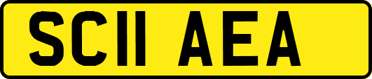 SC11AEA