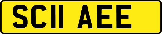 SC11AEE