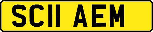 SC11AEM
