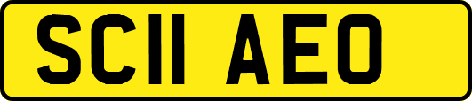 SC11AEO