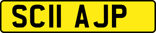 SC11AJP