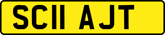 SC11AJT
