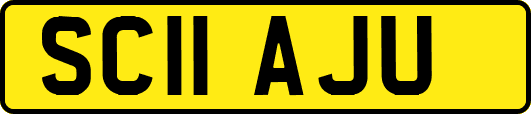 SC11AJU