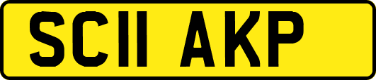 SC11AKP