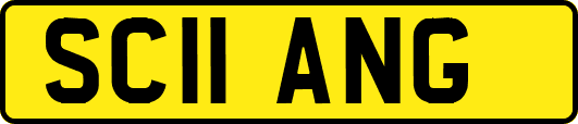 SC11ANG