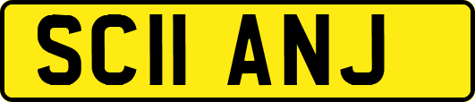 SC11ANJ