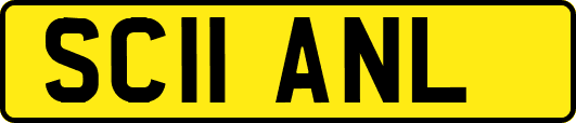 SC11ANL