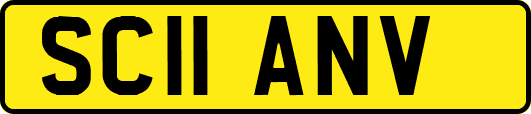 SC11ANV