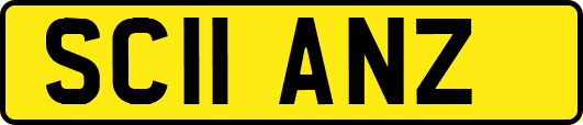SC11ANZ