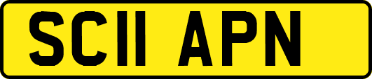 SC11APN