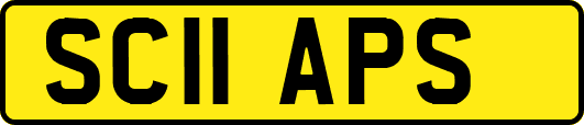 SC11APS