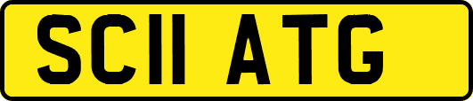 SC11ATG