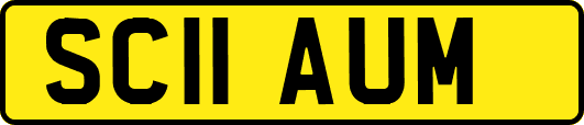 SC11AUM