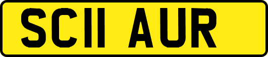SC11AUR