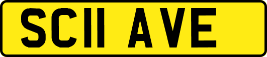 SC11AVE