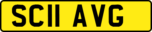 SC11AVG