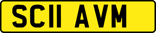 SC11AVM