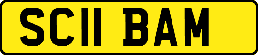SC11BAM