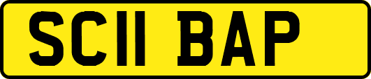 SC11BAP