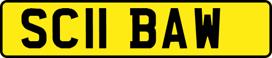 SC11BAW