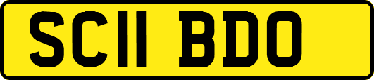 SC11BDO