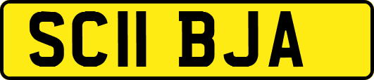 SC11BJA