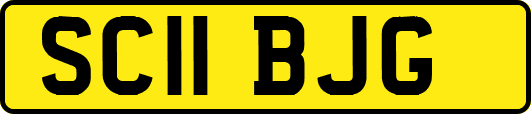 SC11BJG