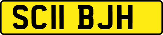 SC11BJH