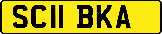 SC11BKA