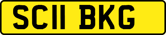 SC11BKG