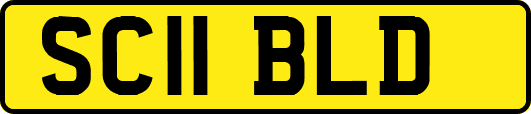 SC11BLD