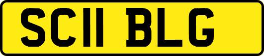SC11BLG