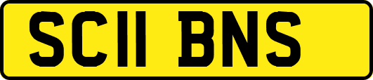 SC11BNS