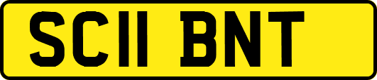 SC11BNT