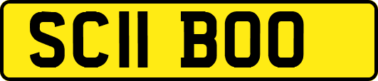 SC11BOO