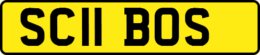 SC11BOS