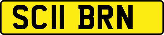 SC11BRN
