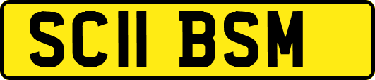 SC11BSM