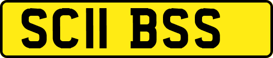 SC11BSS