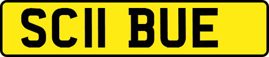 SC11BUE
