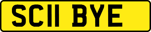 SC11BYE
