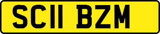 SC11BZM