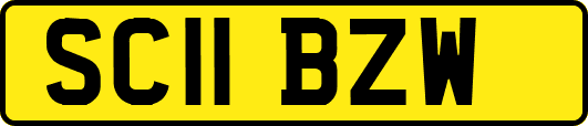SC11BZW